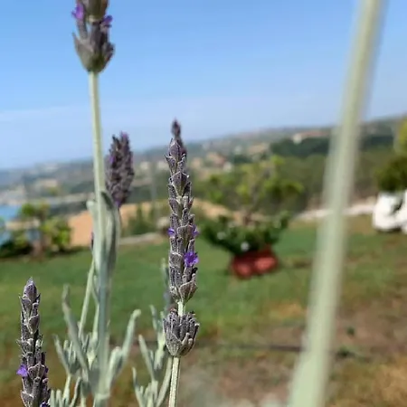 Maria Anastasia Daire Trapezaki (Kefalonia)